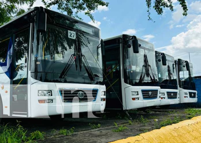 Foto: Llega a Nicaragua la cuarta flota de buses chinos para modernizar el transporte urbano/TN8