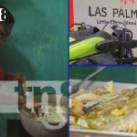 Foto: El impacto transformador del turismo en la economía del Caribe/ TN8