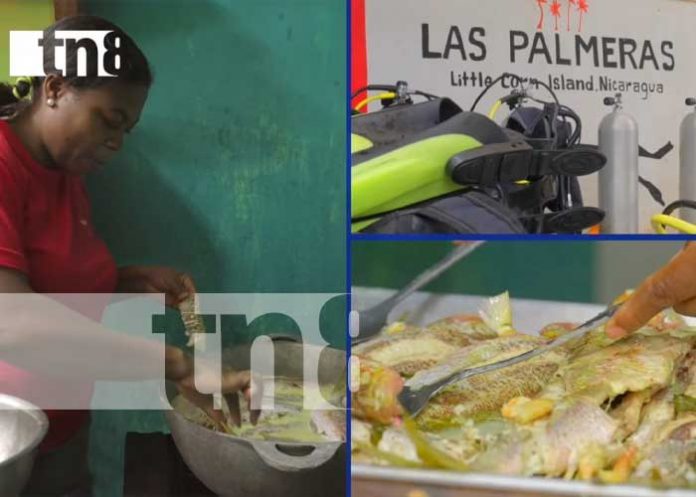 Foto: El impacto transformador del turismo en la economía del Caribe/ TN8 Foto: El impacto transformador del turismo en la economía del Caribe/ TN8