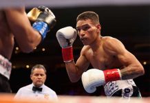 cristofer, rosales, boxeo, consejo, mundial, titulo