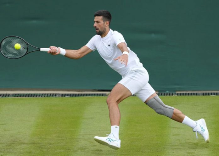 Djokovic novak, djokovic, wimbledon, tennis,