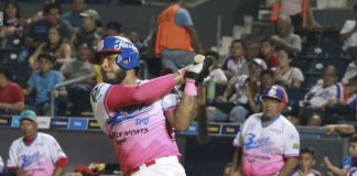 Bóer afectado por las lesiones