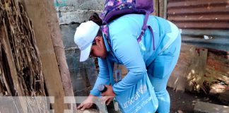 Foto: Abatización para eliminar zancudos en Managua / TN8