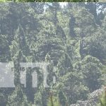 Foto: Congreso ambiental en Estelí / TN8