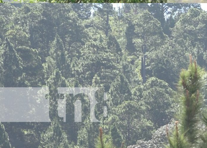 Foto: Congreso ambiental en Estelí / TN8