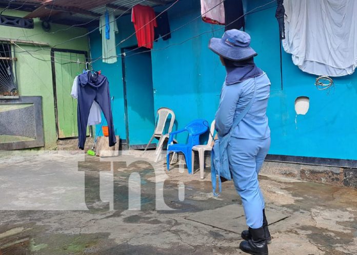 Foto: Abatización en Villa Canadá, Managua / TN8 Foto: Abatización en Villa Canadá, Managua / TN8