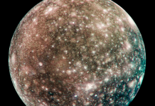 ¿Vida extraterrestre en Calisto? Elon Musk anticipa hallazgos importantes en lunas jovianas ¿Vida extraterrestre en Calisto? Elon Musk anticipa hallazgos importantes en lunas jovianas