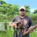 Finca El Manantial, en Santa Teresa, es un paraíso de prósperos cultivos Foto: Prósperos cultivos en Finca El Manantial, de Santa Teresa, Carazo / TN8