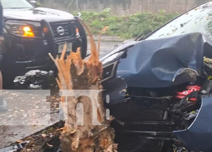 Foto: Fuerte choque de un vehículo contra un árbol en San Marcos / TN8