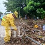 Profunda limpieza en zonas afectadas por lluvias en Granada Foto: Limpieza en Granada tras intensas lluvias / TN8