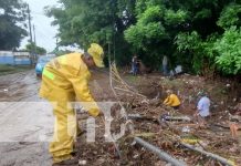 Foto: Limpieza en Granada tras intensas lluvias / TN8