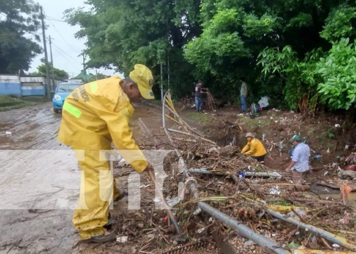 Foto: Limpieza en Granada tras intensas lluvias / TN8
