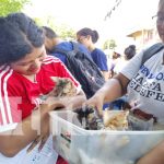 Vacunas gratis en Managua para mascotas: Por el bien de los peluditos Foto: Vacunas para mascotas en el barrio Hilario Sánchez, Managua / TN8