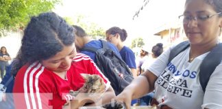Foto: Vacunas para mascotas en el barrio Hilario Sánchez, Managua / TN8