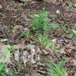 Foto: Joven que había desaparecido aparece muerto en Matiguás / TN8