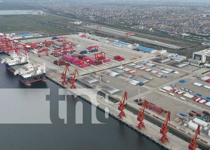 Foto: Crecimiento de exportaciones de Nicaragua a China / TN8 Foto: Crecimiento de exportaciones de Nicaragua a China / TN8