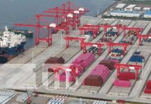 Nicaragua proyecta superar los 7,500 millones de dólares en exportaciones este año Foto: Crecimiento de exportaciones de Nicaragua a China / TN8