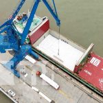 La actividad en los puertos de Nicaragua sigue viento en popa en 2025 Foto: Crecimiento de exportaciones de Nicaragua a China / TN8
