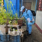 Foto. Abatización en Managua / TN8