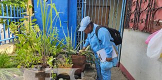 Foto. Abatización en Managua / TN8