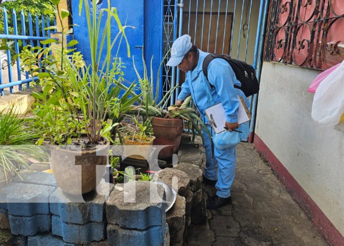 Foto. Abatización en Managua / TN8
