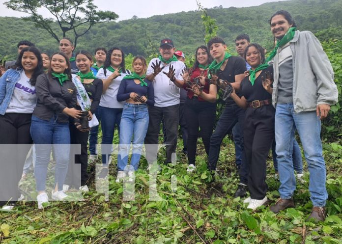 Foto: Jornada de reforestación en la Laguna de Nejapa / TN8 Foto: Jornada de reforestación en la Laguna de Nejapa / TN8