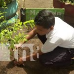 Foto: Reforestación y limpieza en el centro educativo Bello Amanecer, Ciudad Sandino / TN8
