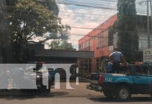 Foto: Robo en una de las tiendas del barrio Bóer, en Managua / TN8