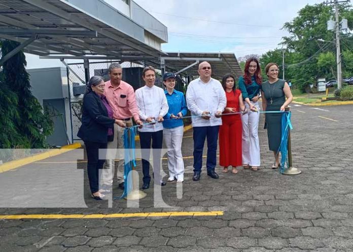 Foto: Paneles solares en la UAM / TN8 Foto: Paneles solares en la UAM / TN8