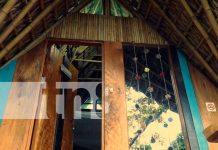Turismo en la Isla de Ometepe, continúa repuntando positivamente Foto:Turismo en la Isla de Ometepe, continúa repuntando positivamente/TN8