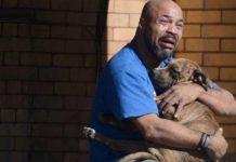Descubren que el olor humano afecta la vida de los perros Foto: Descubren que el olor humano afecta la vida de los perros / Cortesía