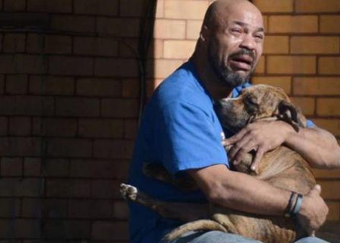 1 Foto: Descubren que el olor humano afecta la vida de los perros / Cortesía