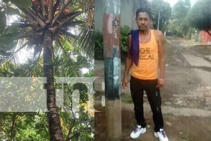 1 Foto: Dan el último adiós a hombre que cayó de un árbol en Rivas / TN8