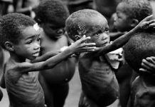 Foto: 1 de cada 11 personas en el mundo sufre hambre, según la ONU/créditos