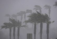 Científicos hallan nuevo patrón meteorológico que podría desafiar a «El Niño» Foto: Descubren "nuevo El Niño" /cortesía