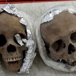 Niños descubren 17 cráneos humanos en Uganda Foto: Niños Descubren 17 Cráneos Humanos Enterrados en Santuario de Uganda/Créditos