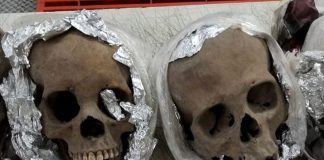 Foto: Niños Descubren 17 Cráneos Humanos Enterrados en Santuario de Uganda/Créditos