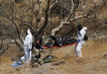 Foto: Encuentran fosa con restos humanos en Jalisco, México/Créditos
