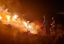 Presidente de Bolivia anuncia plan urgente para combatir incendios Foto: Presidente de Bolivia anuncia plan urgente para combatir incendios forestales /Créditos