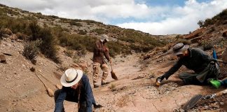 Foto: Museo digitalizará 14 mil huellas de dinosaurios/Cortesía