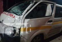 Ambulancia choca contra semoviente en Rivas Foto: Ambulancia choca contra semoviente en Rivas/TN8