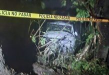 Honduras: Por conducir ‘a todo mamón’ hombre muere tras impactar contra un árbol Foto: Tragedia en Honduras /cortesía