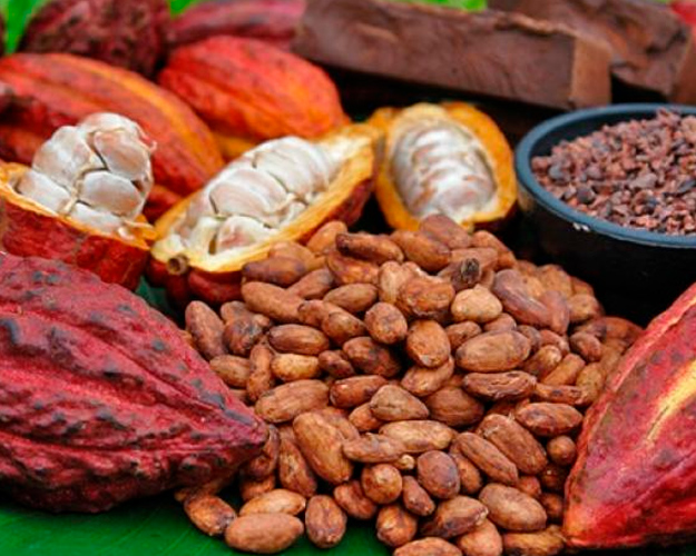 Foto: Encuentran metales pesados en alimentos derivados del cacao/Cortesía Foto: Encuentran metales pesados en alimentos derivados del cacao/Cortesía