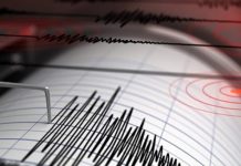 Potente sismo de 5.4 sacude el centro de Japón Foto: Japón una de las áreas sísmicas más activas del planeta /cortesía