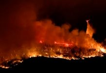 Devastador incendio en California, deja miles de personas evacuadas Foto: Incendio que ha arrasado con más de mil 400 hectáreas en California, Estados Unidos/Cortesía