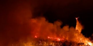 Foto: Incendio que ha arrasado con más de mil 400 hectáreas en California, Estados Unidos/Cortesía