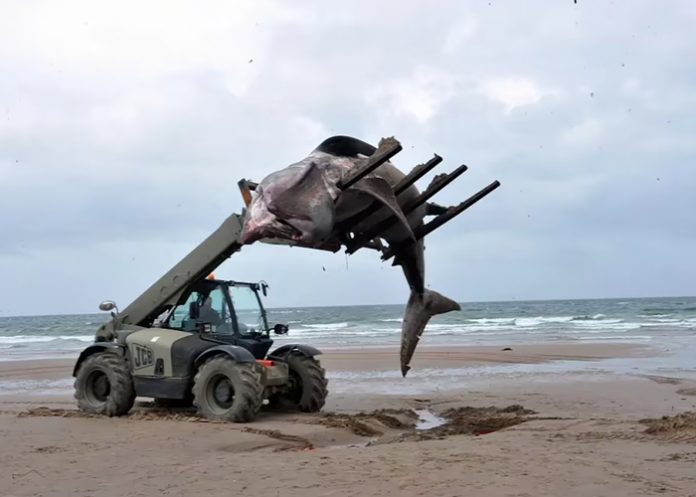 Foto: Tragedia en Escocia /cortesía Foto: Tragedia en Escocia /cortesía