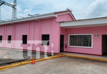 ¡Nuevo proyecto eléctrico en León beneficia a más de 131 mil habitantes! Foto: ¡Nuevo proyecto eléctrico en León beneficia a más de 131 mil habitantes!/TN8