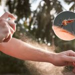 Esta es la técnica japonesa para ganarle a los mosquitos Foto: Esta es la técnica japonesa para ganarle a los mosquitos / Cortesía