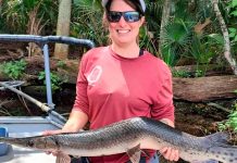 Foto: Bióloga Captura Pez 'Torcido' en Manantial de Florida/ Cortesía